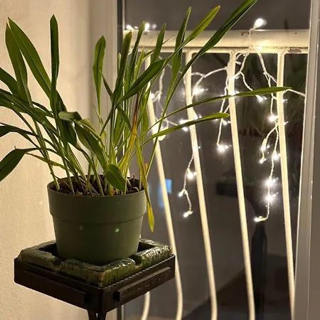 уютная рядом с центром бургаса شقة