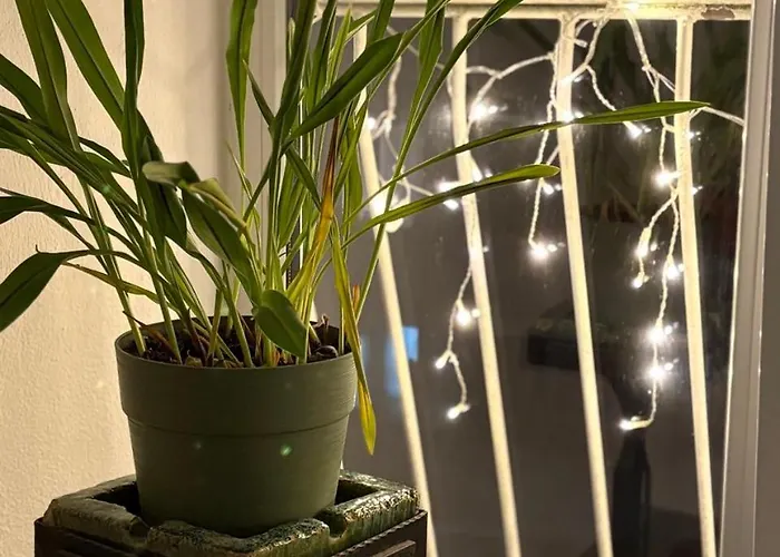 уютная рядом с центром бургаса 아파트