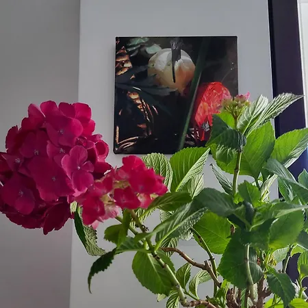 Apartment уютная рядом с центром бургаса Burgas City