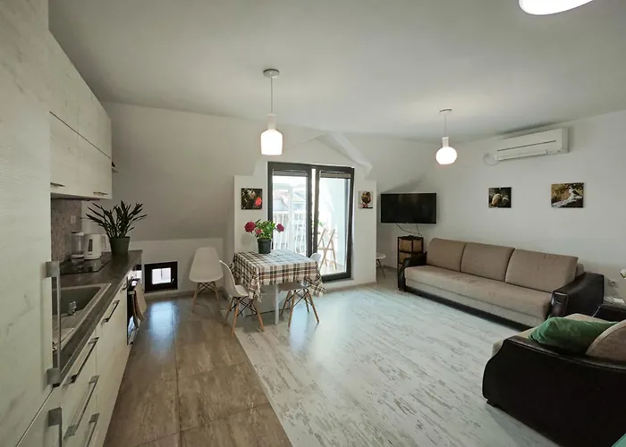 уютная рядом с центром бургаса 公寓 *