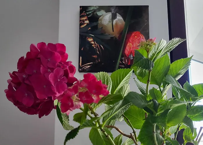 公寓 уютная рядом с центром бургаса 布尔加斯